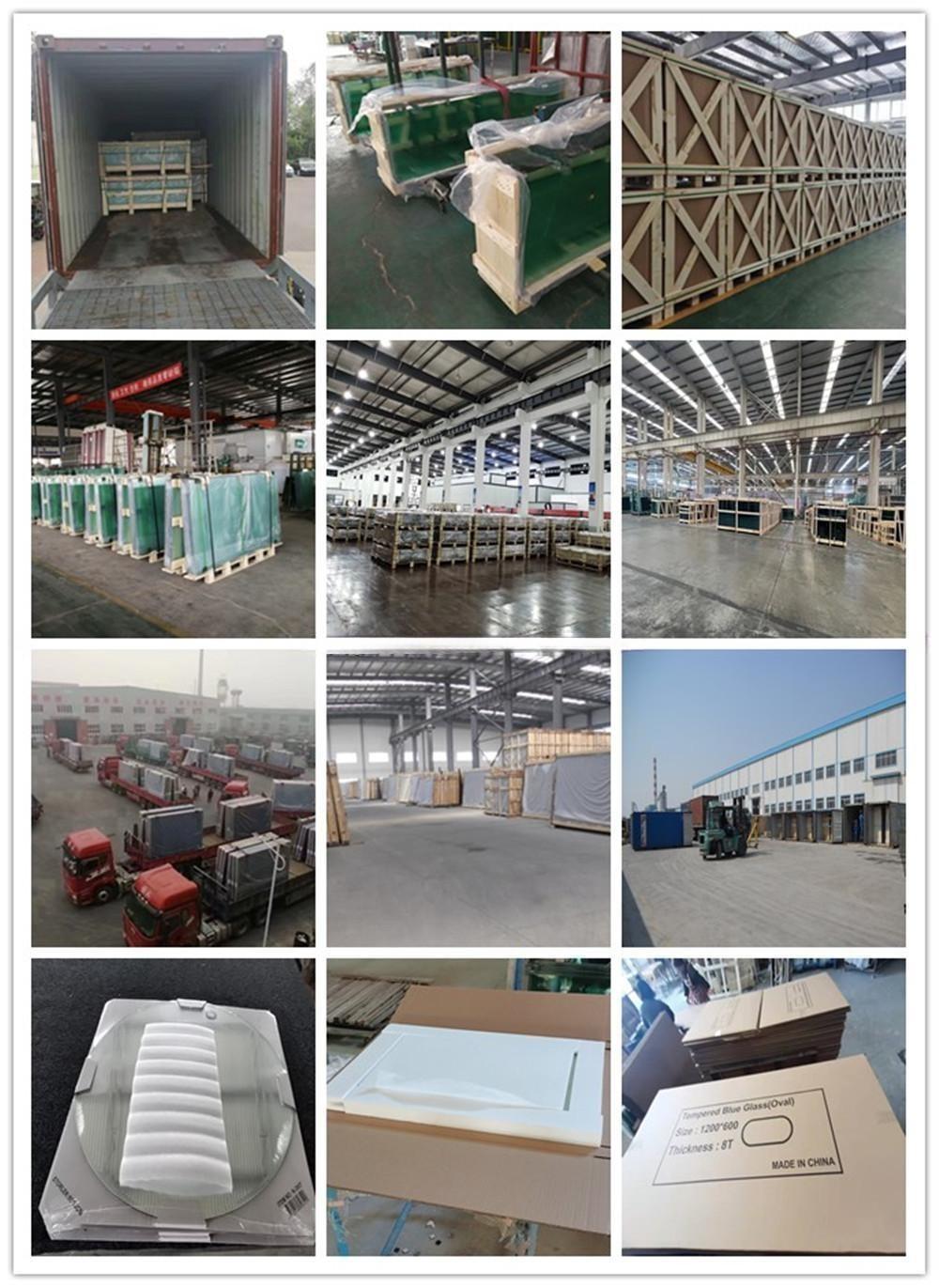 Spiegel Glaswand decor11.jpg